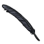 Gleaming Black Feather