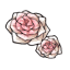 Blushing Rose Blossoms