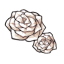 Snowy Rose Blossoms