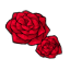 Bloody Rose Blossoms