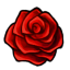 Beloved Red Rose