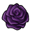 Beloved Royal Rose