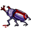 Strange Painted Beetle