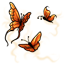 Wispy Orange Butterfly Companions