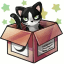 Tuxedo Kitty in a Box