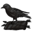 Cloak of the Watchful Crow
