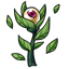 Blooming Dryad Face Pod