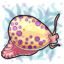 Darkmatter Cowrie Leg Dots