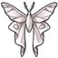 Diamond Lunar Moth