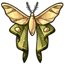 Mossy Lunar Moth