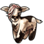 Blush Mischievous Goat Tuft