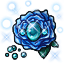 Enigmatic Blue Rose