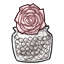 Blush Cultured Rose Centerpiece