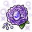 Fragrant Lavender Rose