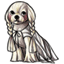 Pampered Pup Sheer White Cape
