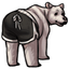 Bearly There Shorts