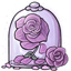 Captured Enchanted Rose