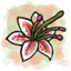 Tropical Lily Blossom