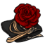 Royal Rose Drape