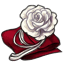 Winter Rose Drape
