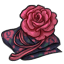 Fragrance Rose Drape