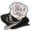 Monochrome Rose Drape