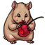 Cherry Stained Hamster