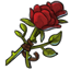 Foot Popping Rose 10.0