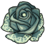 Mint Imprinted Rose