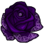Violet Imprinted Rose