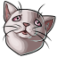 Rose Pleading Kitty Eyes