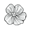 Bedazzling Fabric Flower Frills