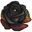 Fiery Imprinted Rose