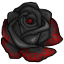 Darkness Imprinted Rose