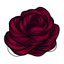 Fabled Rose Woven Strands