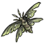 Pinned Mossy Flying Specimen