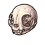 Aged Feline Skull