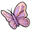 Pale Mahanga Butterfly Companion