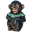Corset Clothed Chimp