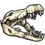 Large White Reptile Skull