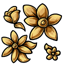 Golden Body Flowers