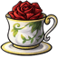 Forgotten Rose of the Teacup