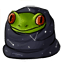 Constellation Froggy Cloth