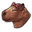 Dainty Coral Capybara Bow