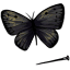 Obsidian Butterfly Sample