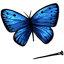 Sapphire Butterfly Sample