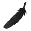 Lonely Black Feather