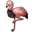 Dapper Dapper Flamingo Sweater