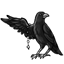Solo Black Deco Raven Wing