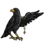 Opposite Black Deco Raven Wing